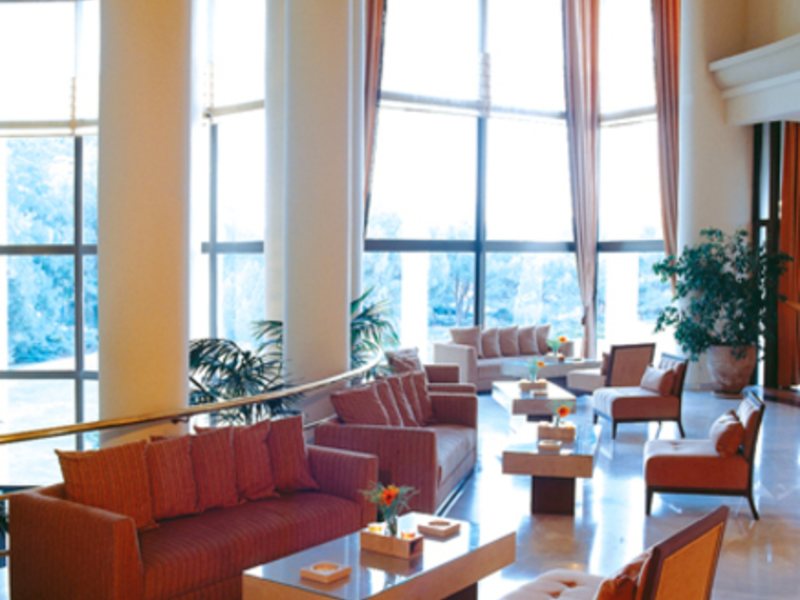 TTH Blue Collection Kiris World 13223