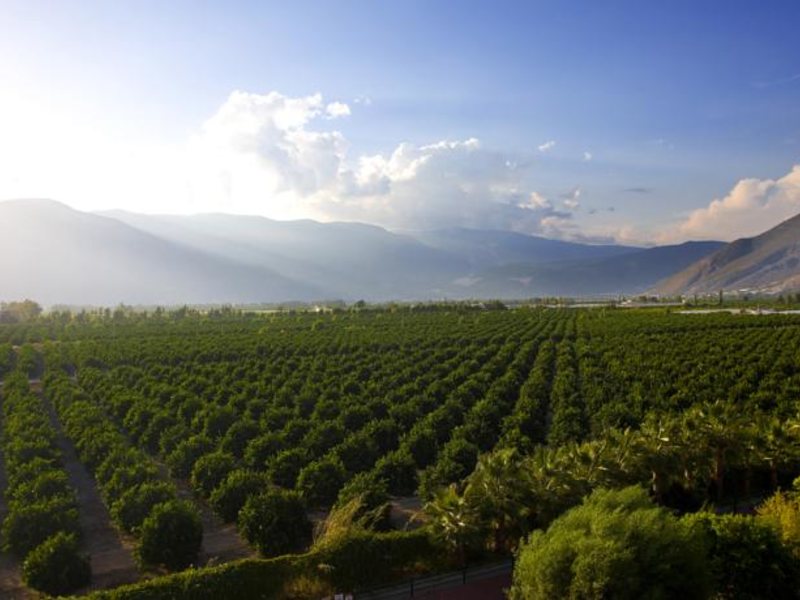 TUI FUN & SUN Club Di Finica  (ex 50470