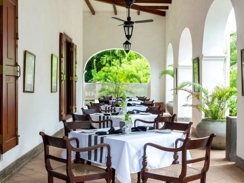 Tamarind Hill  110688