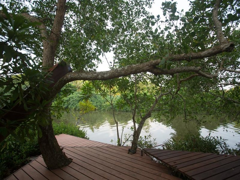 Tamarind Hill  110695