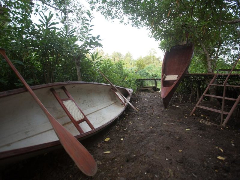 Tamarind Hill  110696