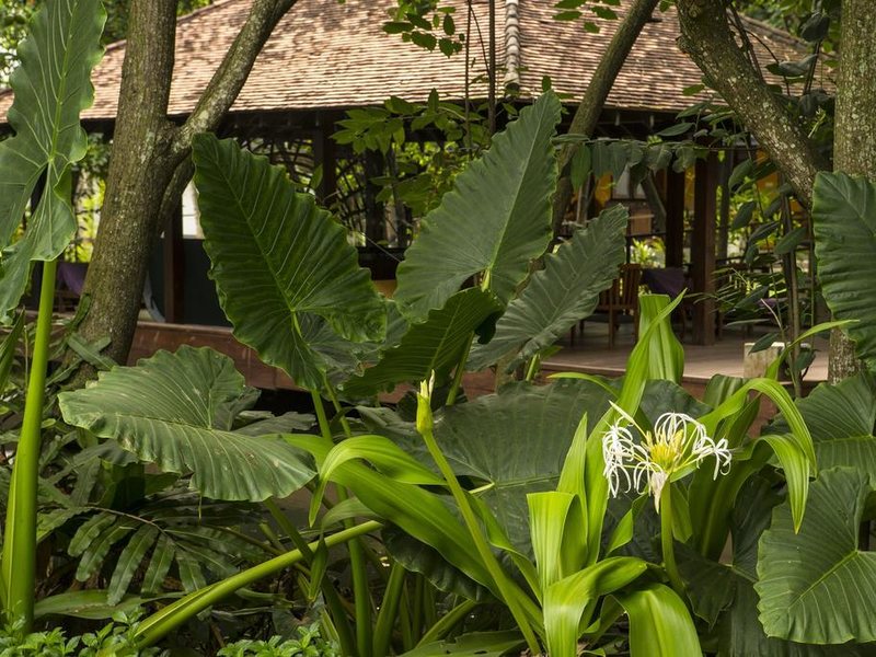 Tangerine Beach Hotel 110719