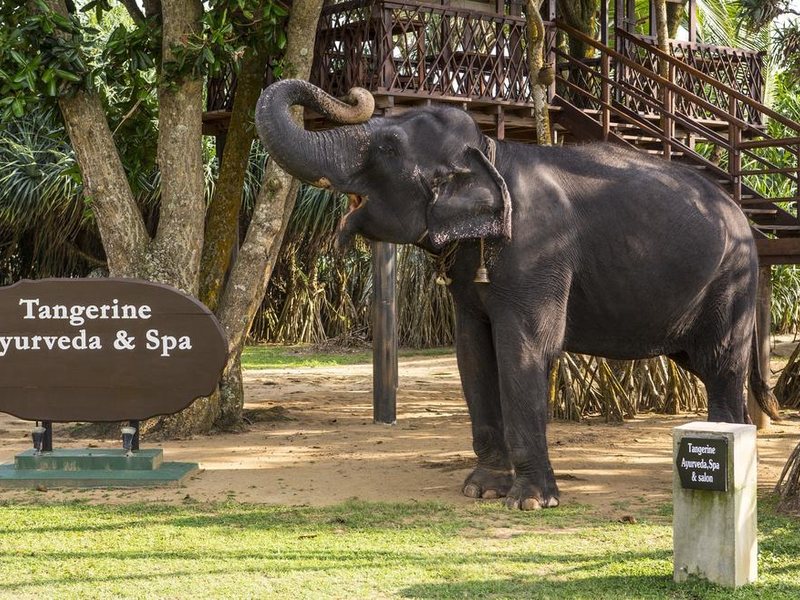 Tangerine Beach Hotel 110720