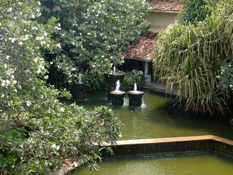 Tangerine Beach Hotel 110738