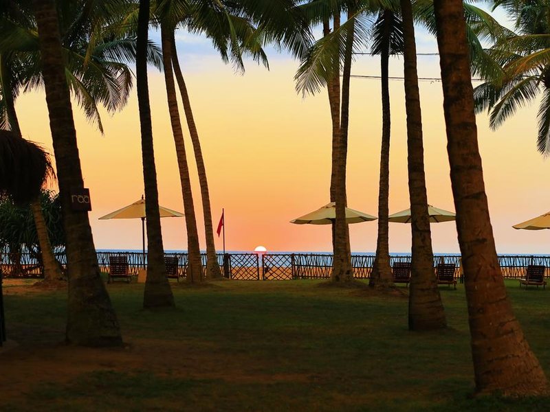 Taprobana Wadduwa 110748