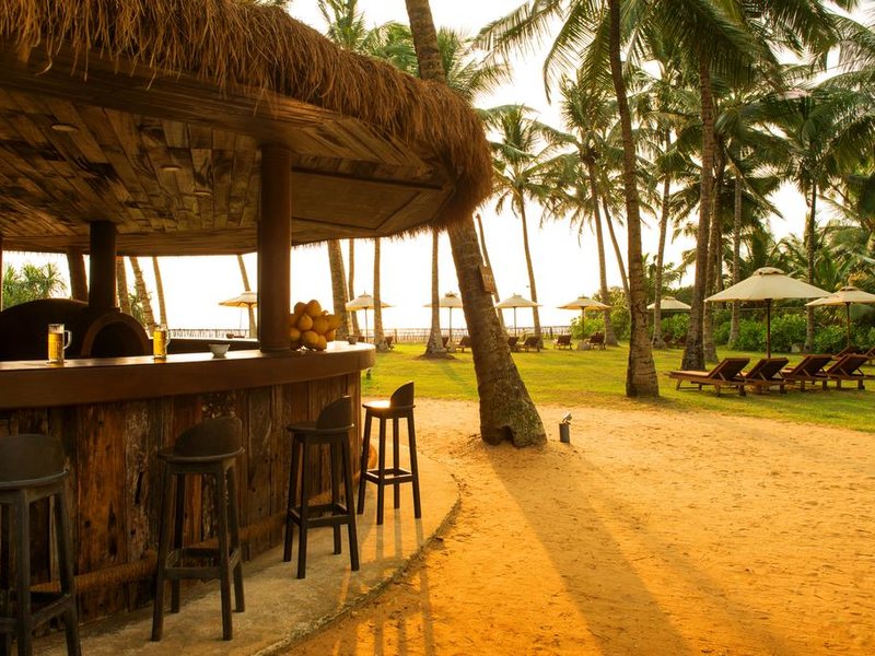 Taprobana Wadduwa 110749