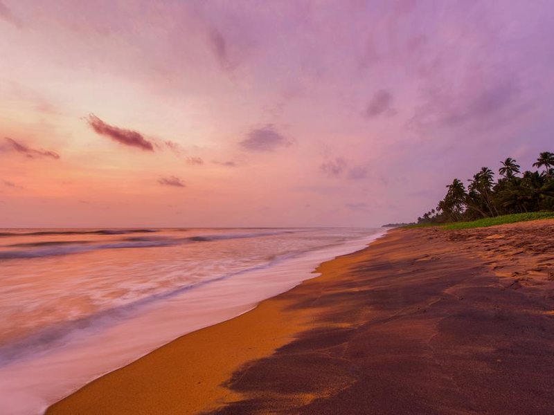 Taprobana Wadduwa 110751