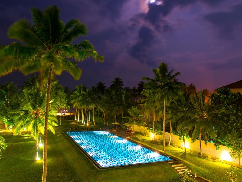 Taprobana Wadduwa 110753