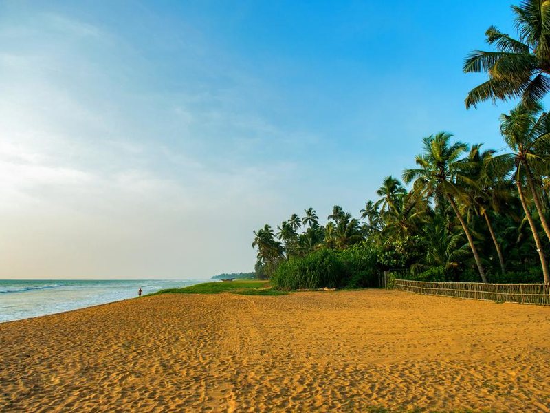 Taprobana Wadduwa 110755