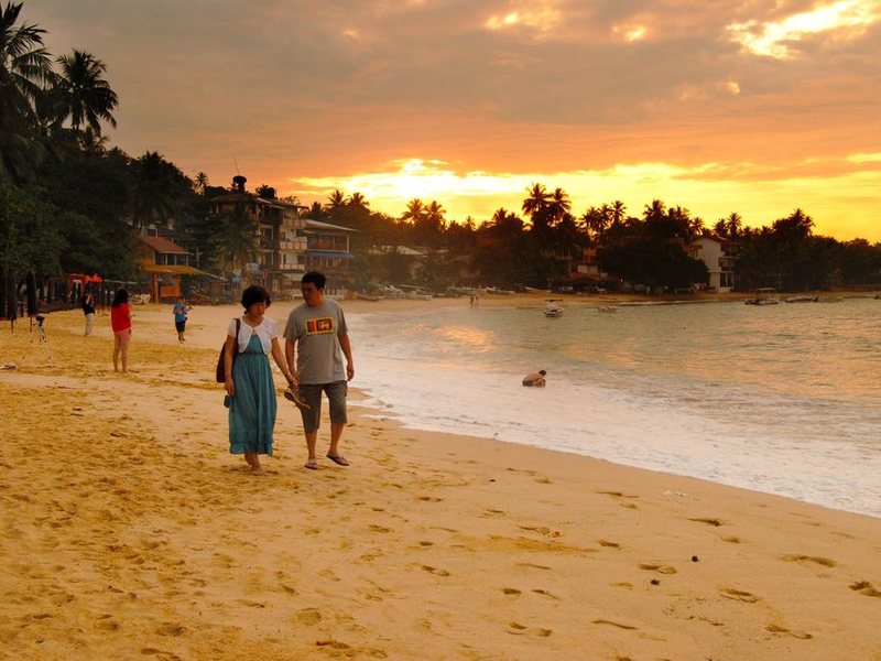 Tartaruga Hotel  110764