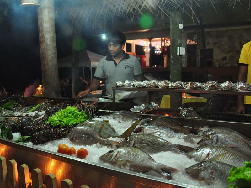 Tartaruga Hotel  110779