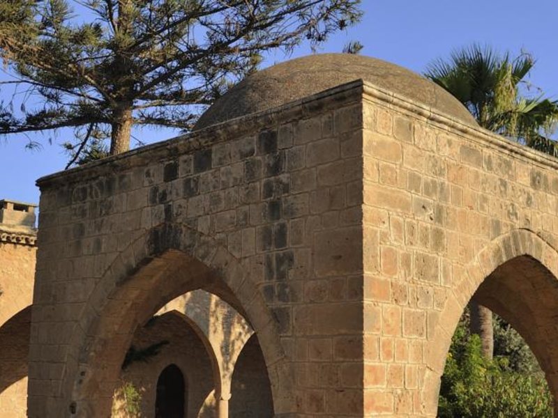 Tasia Maris Oasis 92097