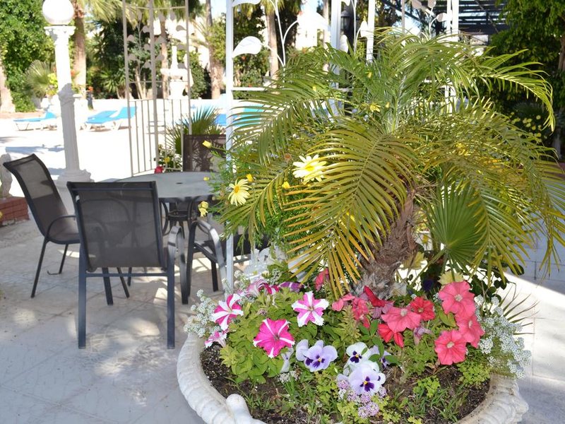 Tasiana Star Apartment 145955