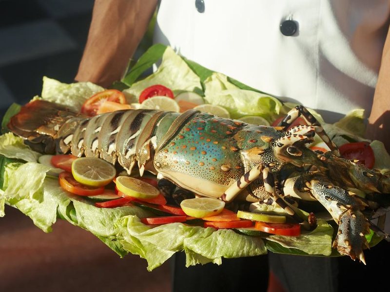 Tembo House Hotel 202639