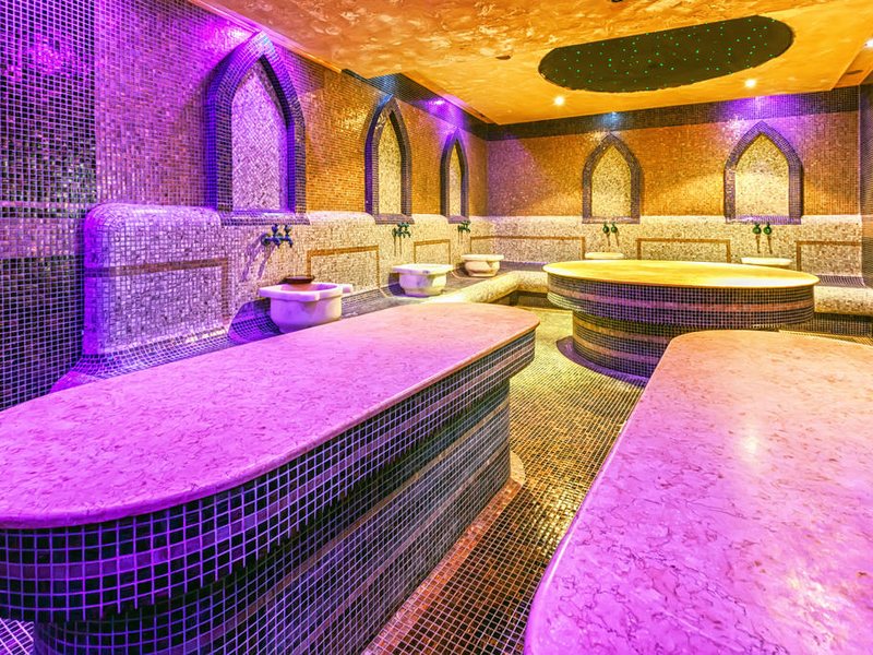 Terra Complex 239032