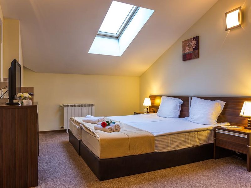 Terra Complex 239048