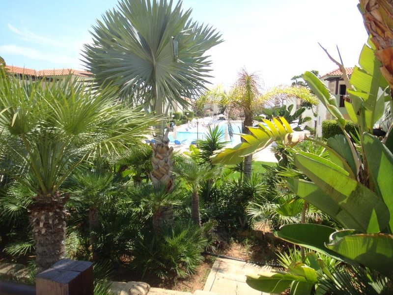 Thalassaki Hotel 212935
