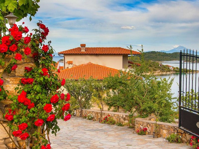 Thalassokipos Sea View Studios & Suites 262317