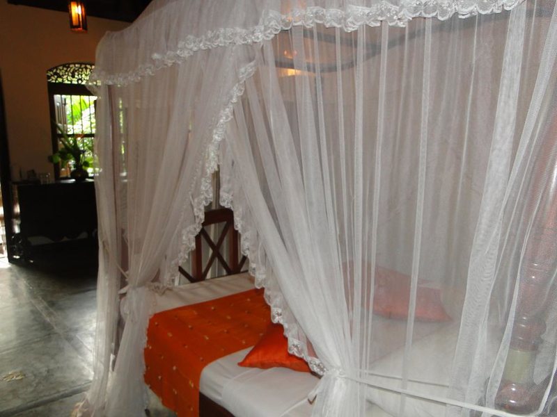 Thambapanni Retreat  108707