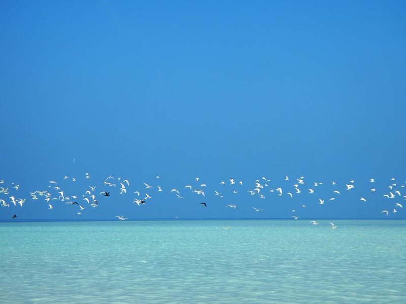 The Barefoot Eco Hotel 227757