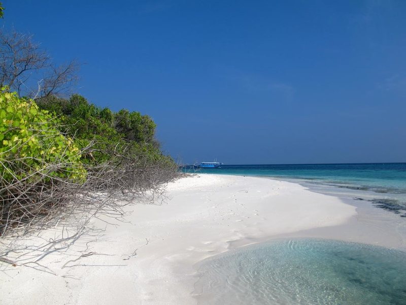 The Barefoot Eco Hotel 227758