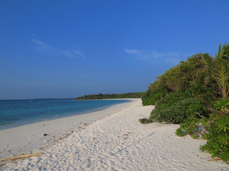 The Barefoot Eco Hotel 227762