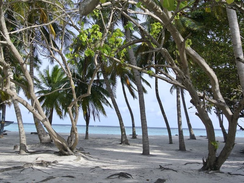 The Barefoot Eco Hotel 227764