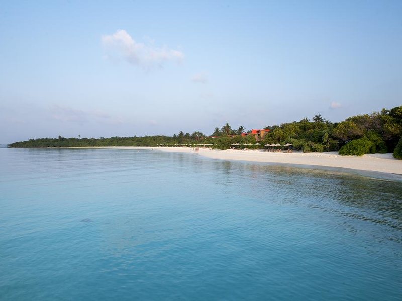 The Barefoot Eco Hotel 227769