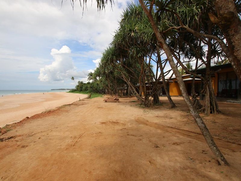 The Beach Cabanas 108760