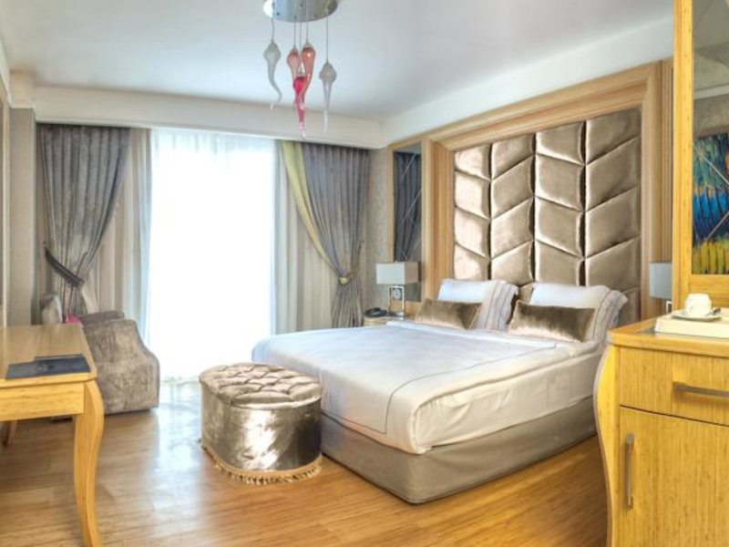 The Blue Bosphorus Hotel 59381