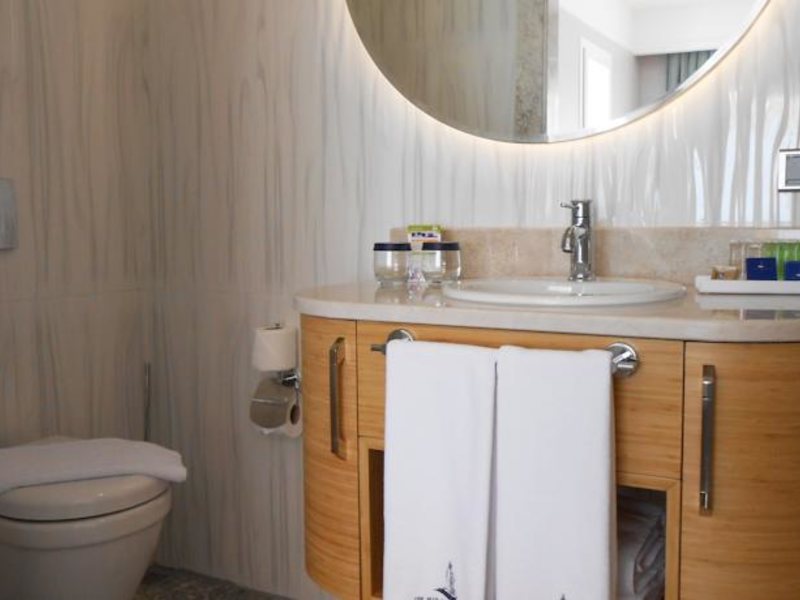 The Blue Bosphorus Hotel 59387