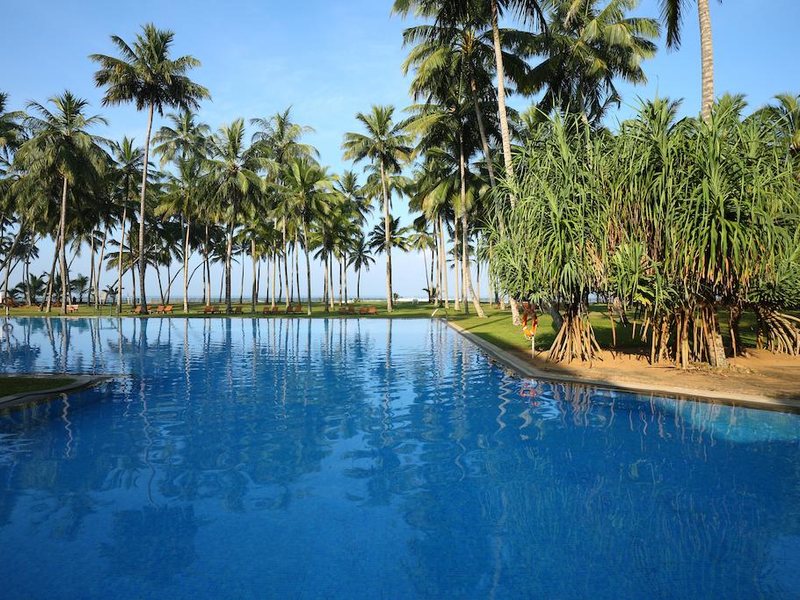 The Blue Water 112077