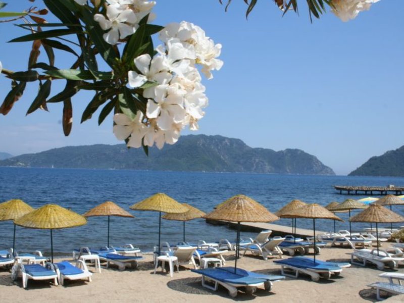 The Classic Hotel 33256