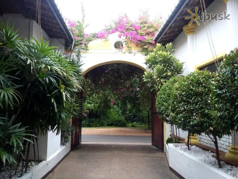 The Cosy Beach 270787