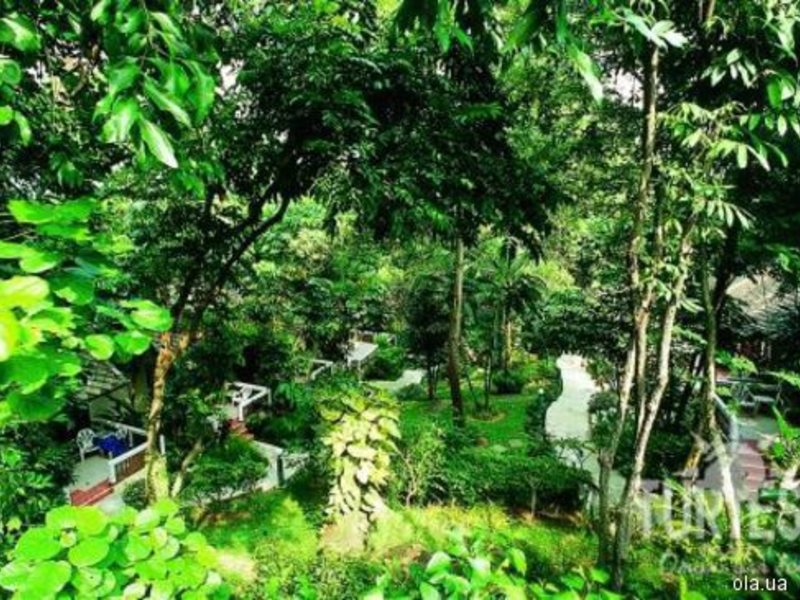 The Fair House 24661