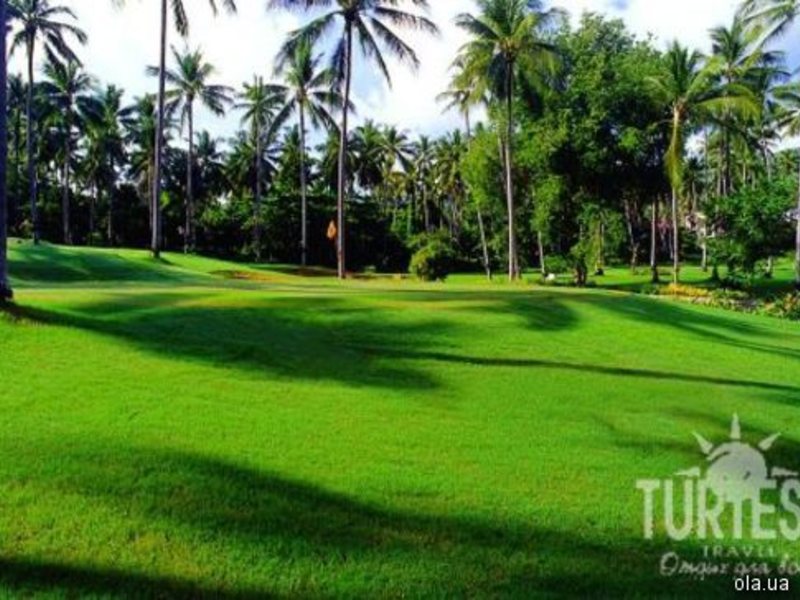 The Fair House 24672