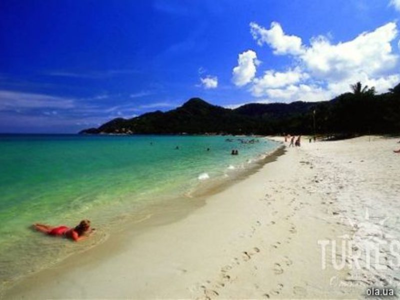 The Fair House 24674