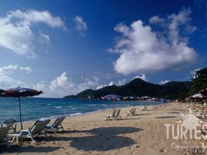 The Fair House 24675