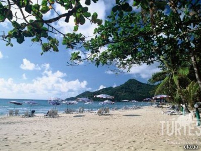 The Fair House 24677