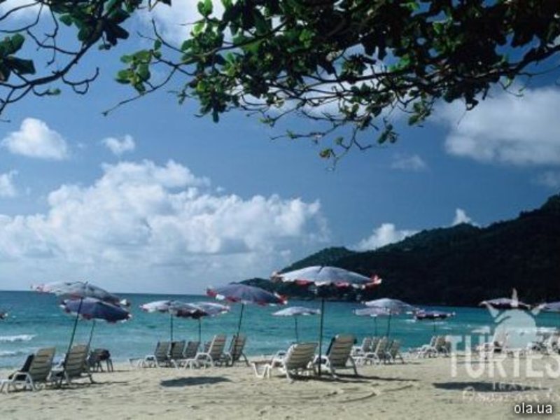 The Fair House 24678