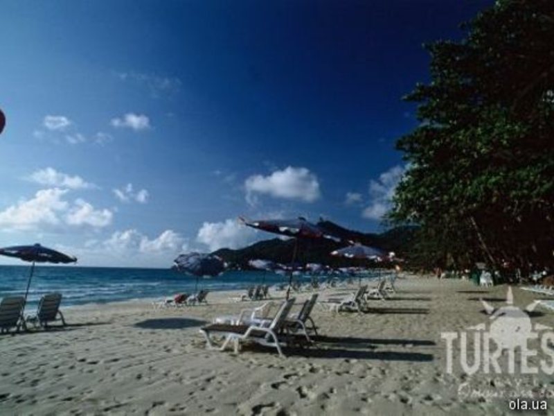 The Fair House 24679