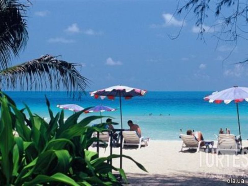 The Fair House 24682