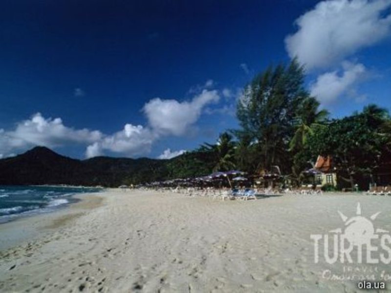 The Fair House 24683