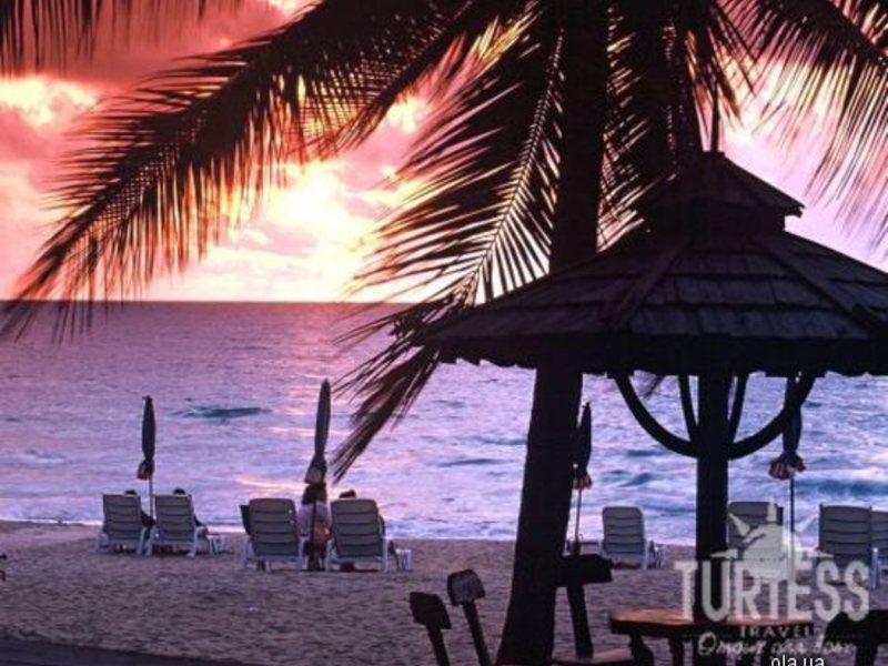 The Fair House 24689