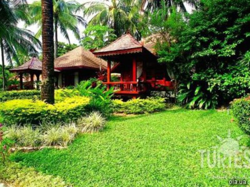 The Fair House 24692