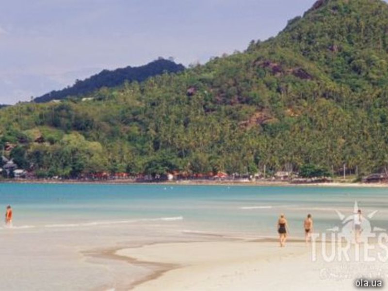 The Fair House 24702