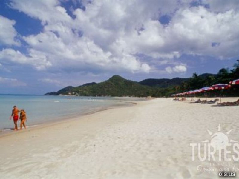 The Fair House 24704