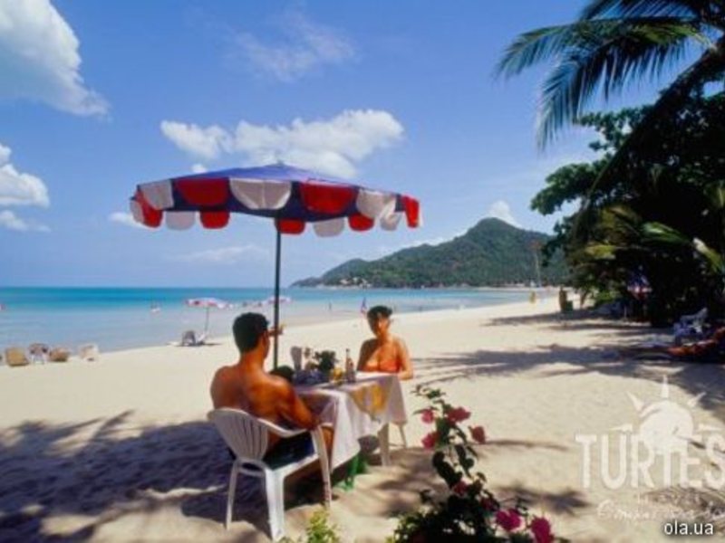 The Fair House 24705