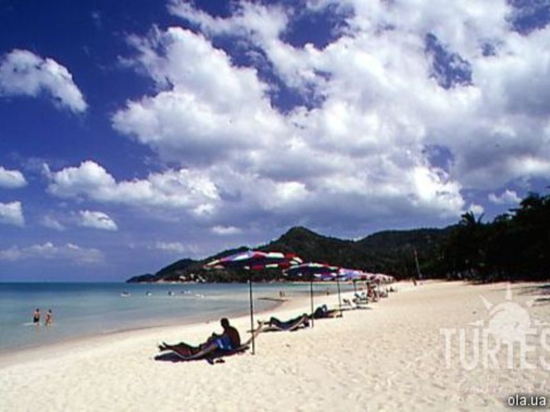 The Fair House 24706