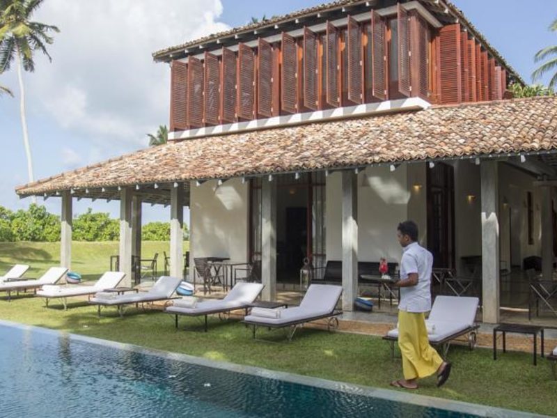 The Frangipani Tree by Edwards Collection 131761